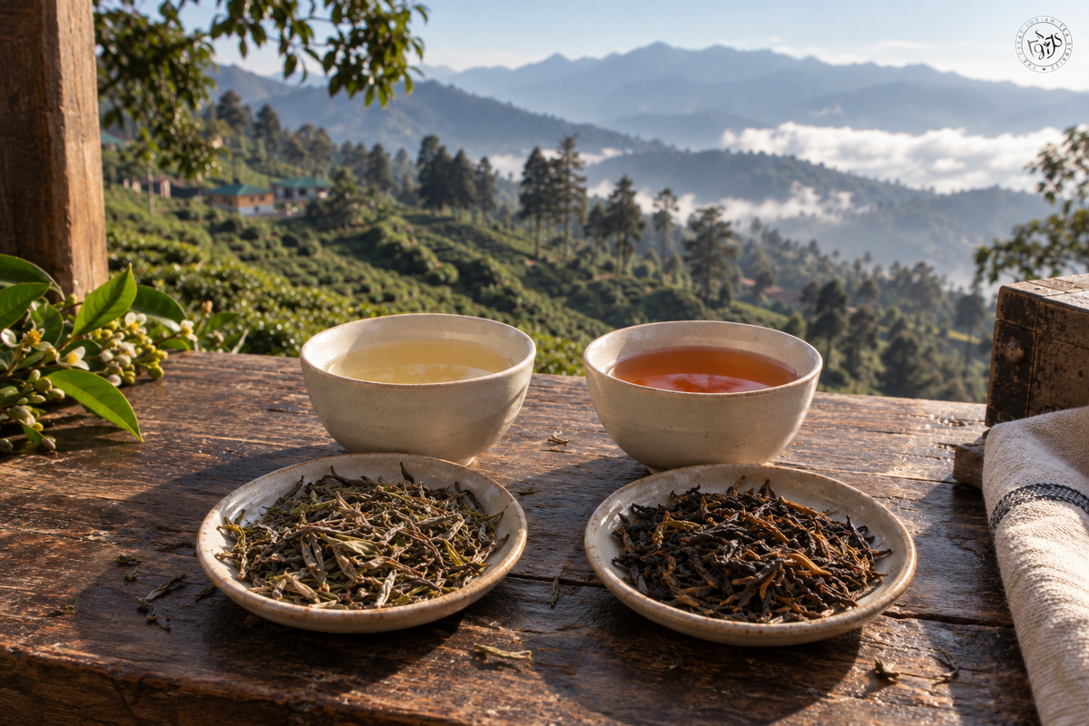 Two cups of Darjeeling tea in the hills, illustrating first and second flush seasons