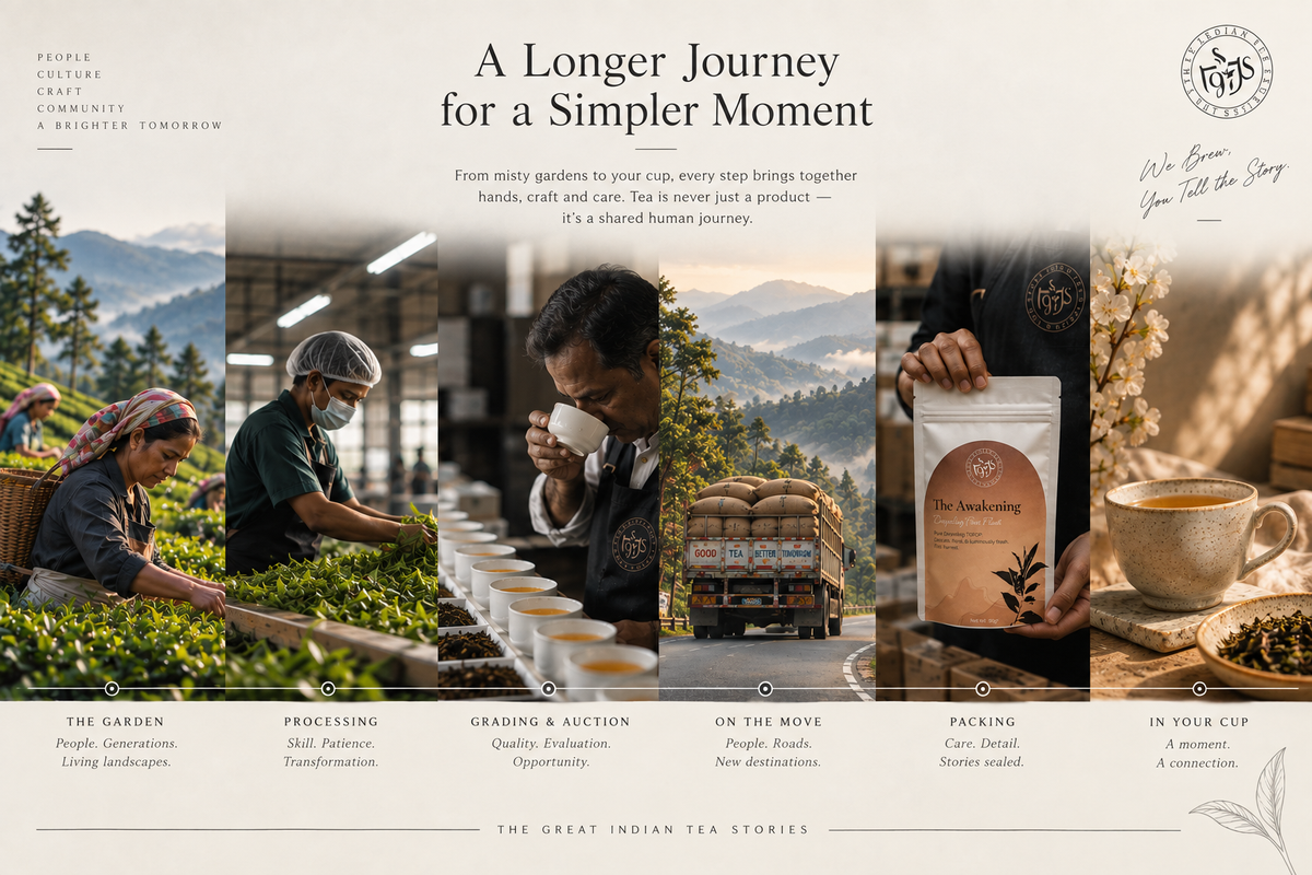 Tea journeys from garden to cup through the people behind every stage