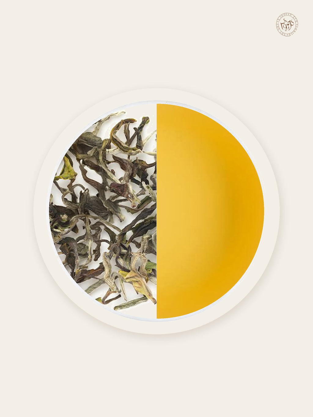 Darjeeling First Flush loose tea leaves with pale golden tea liquor